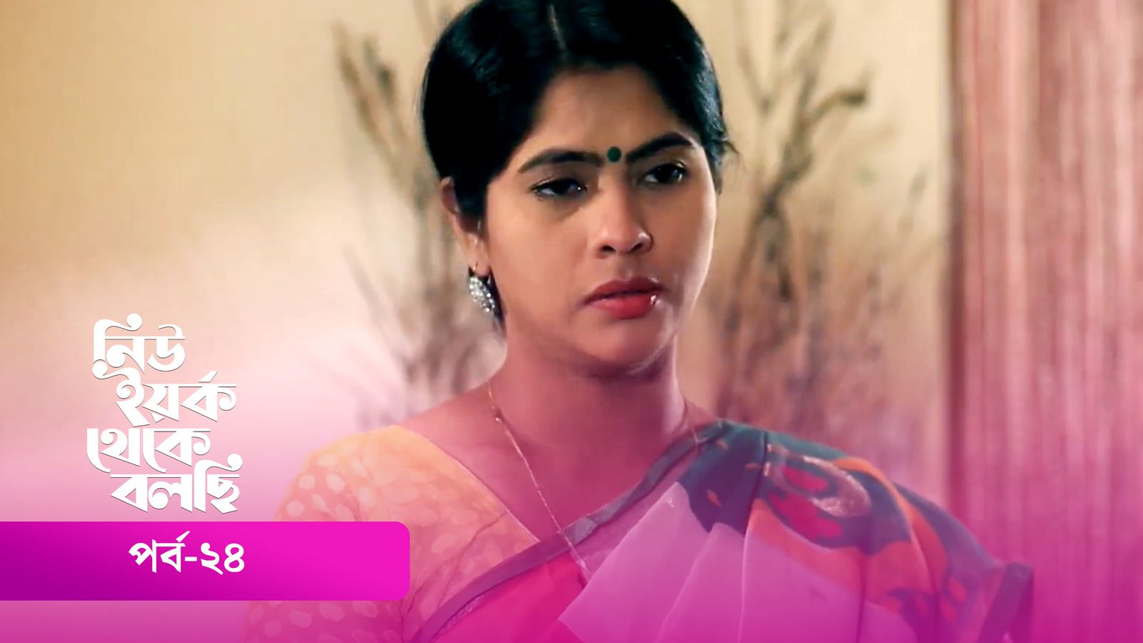 New York Theke Bolchi | Episode 24