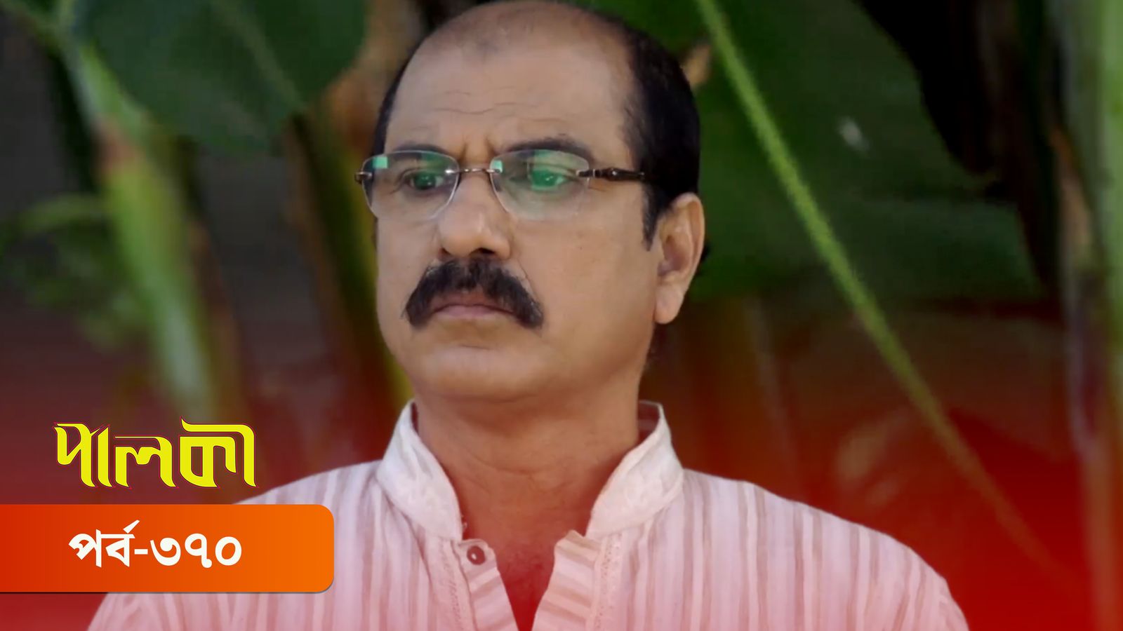 Palki | Episode 370