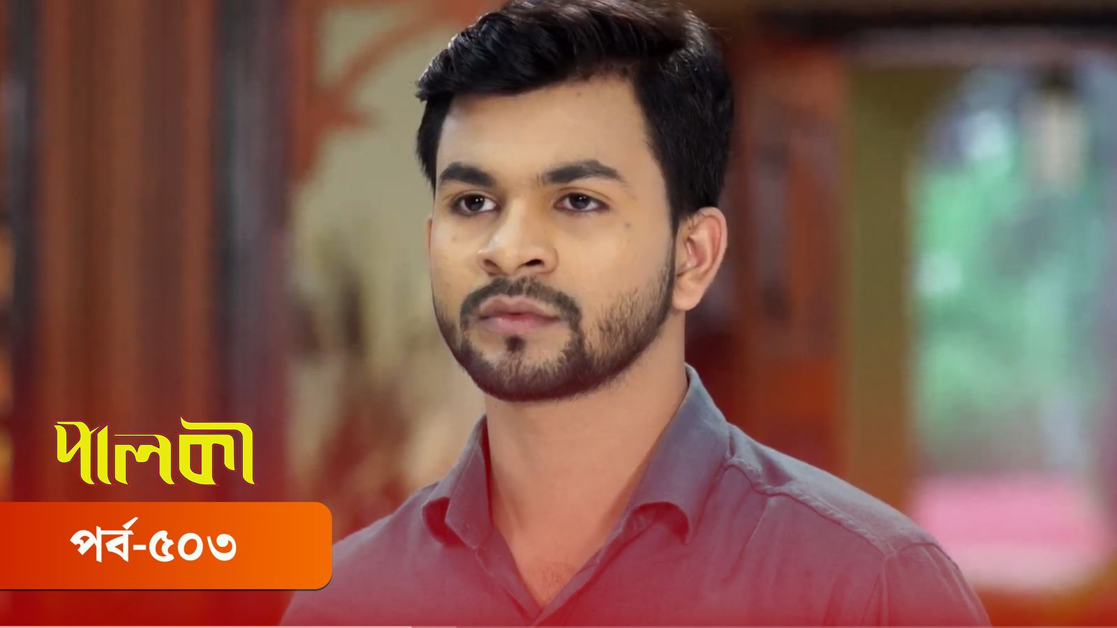 Palki | Episode 503