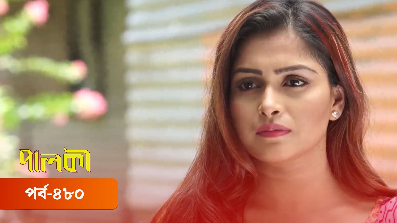 Palki | Episode 480