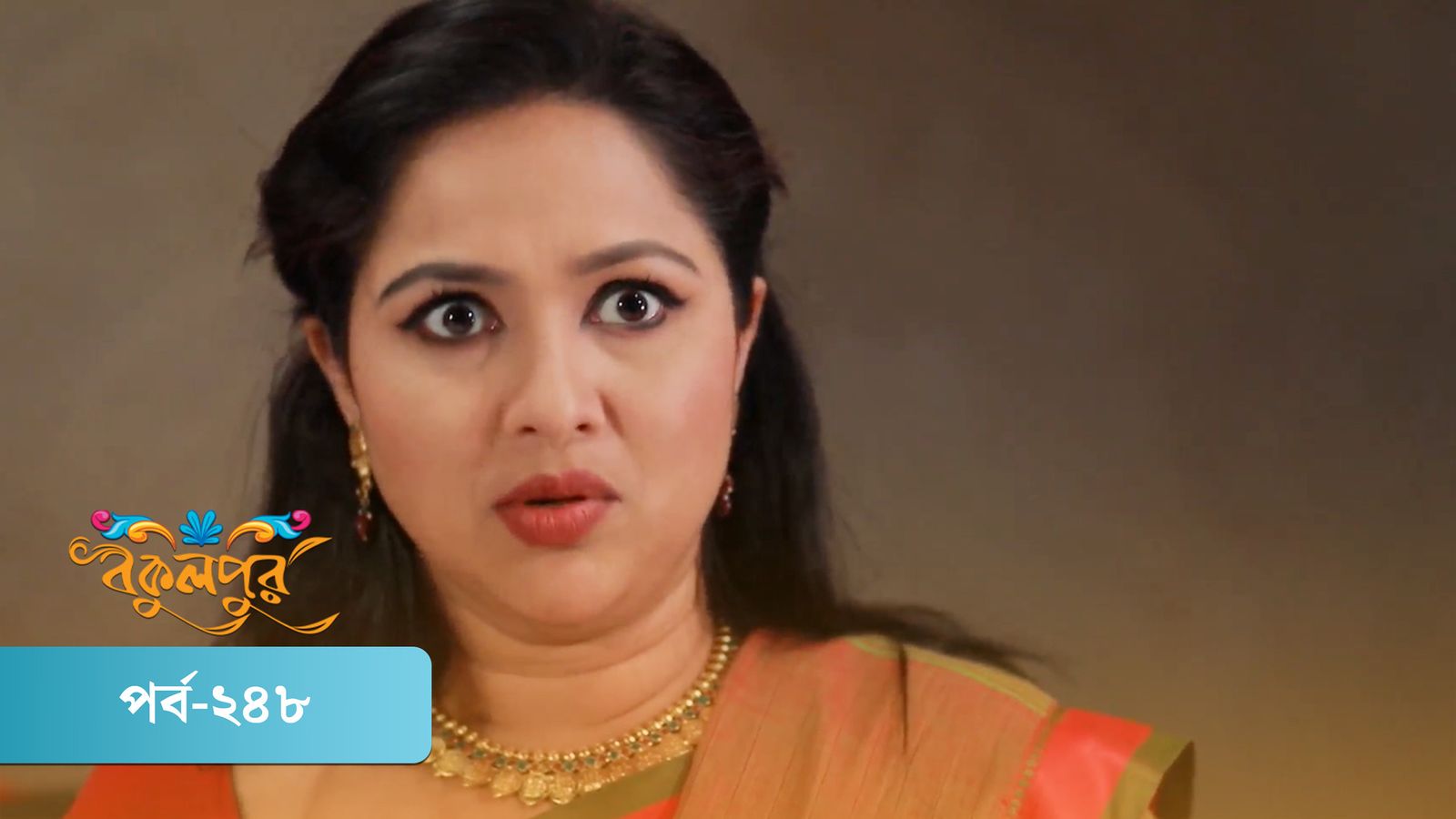 Bokulpur | Season 01 | Episode 248