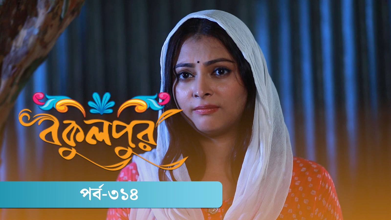 Bokulpur | Season 02 | Episode 314