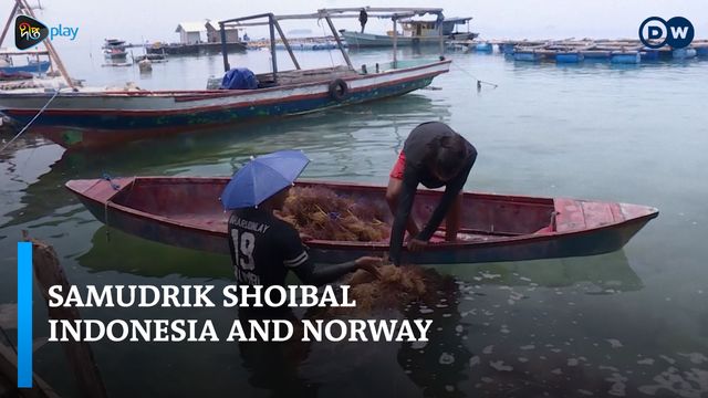 Samudrik Shoibal | Indonesia and Norway | DW Documentary 