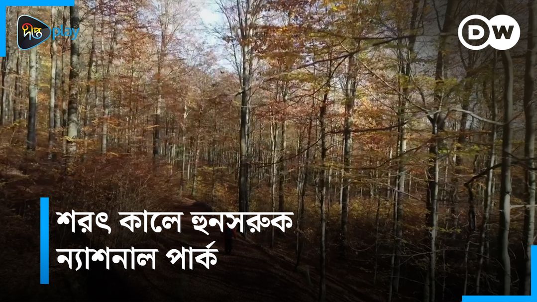 Shorot Kale The Hunsrück National Park | DW Documentary - Ak Nojore Germany