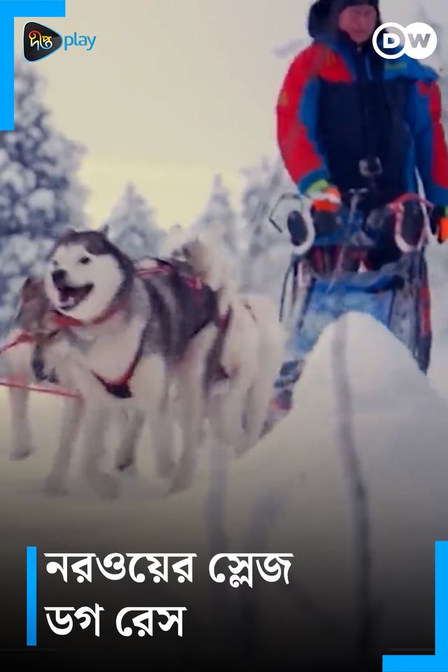 Norway Sled Dog Race | DW Documentary - Sports Life