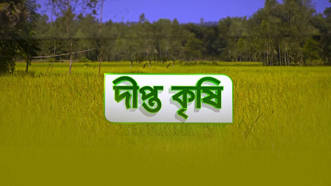 Deepto Krishi | Episode 1551