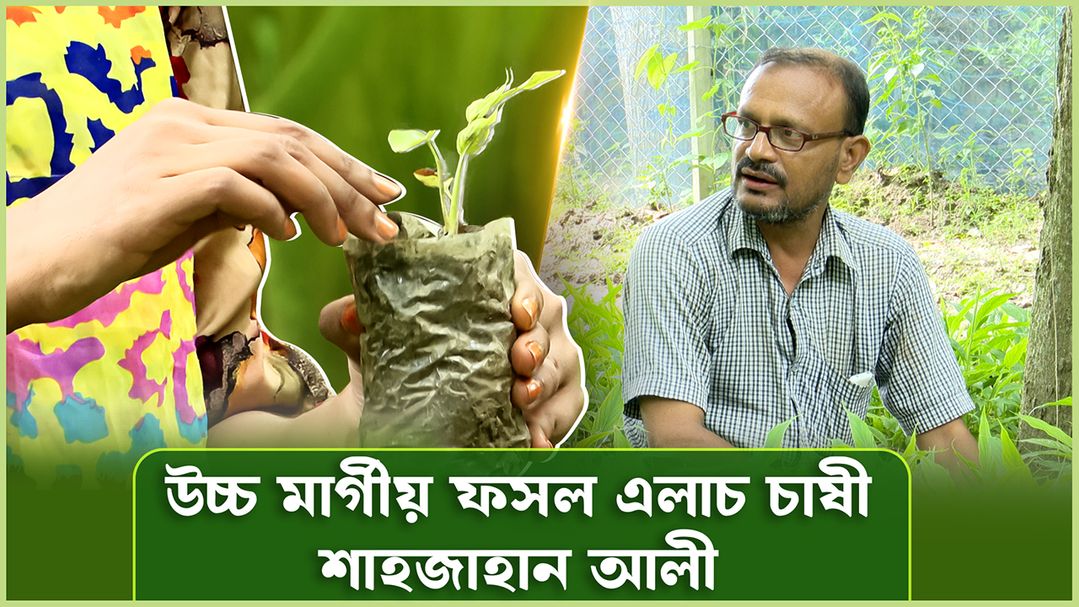 Deepto Krishi | Episode 1571