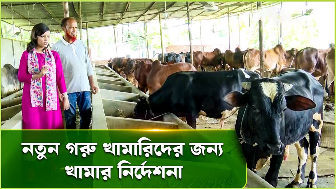 Deepto Krishi | Episode 1572