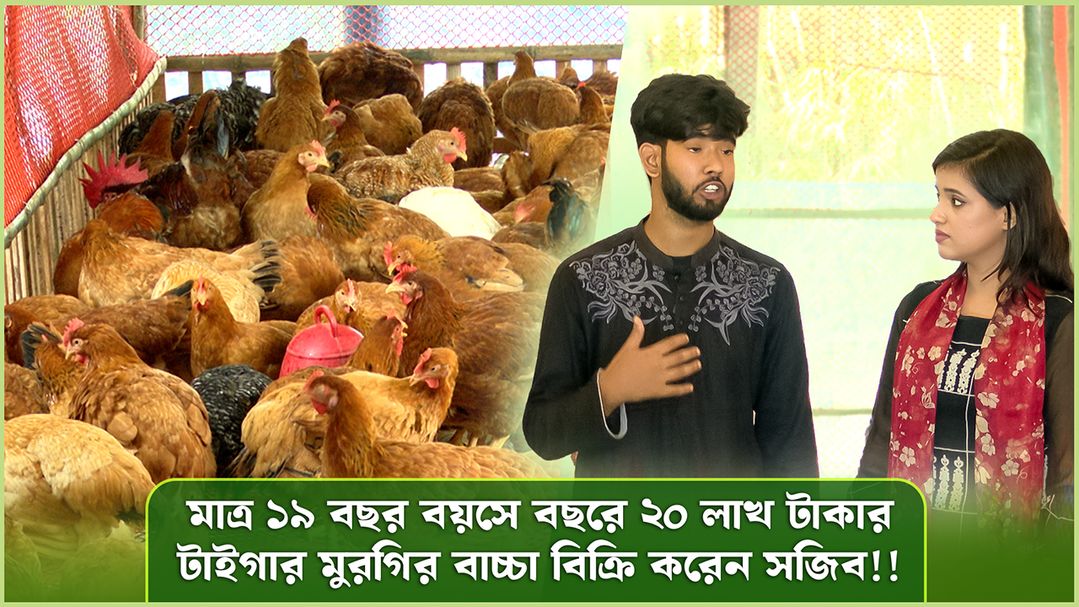 Deepto Krishi | Episode 1573