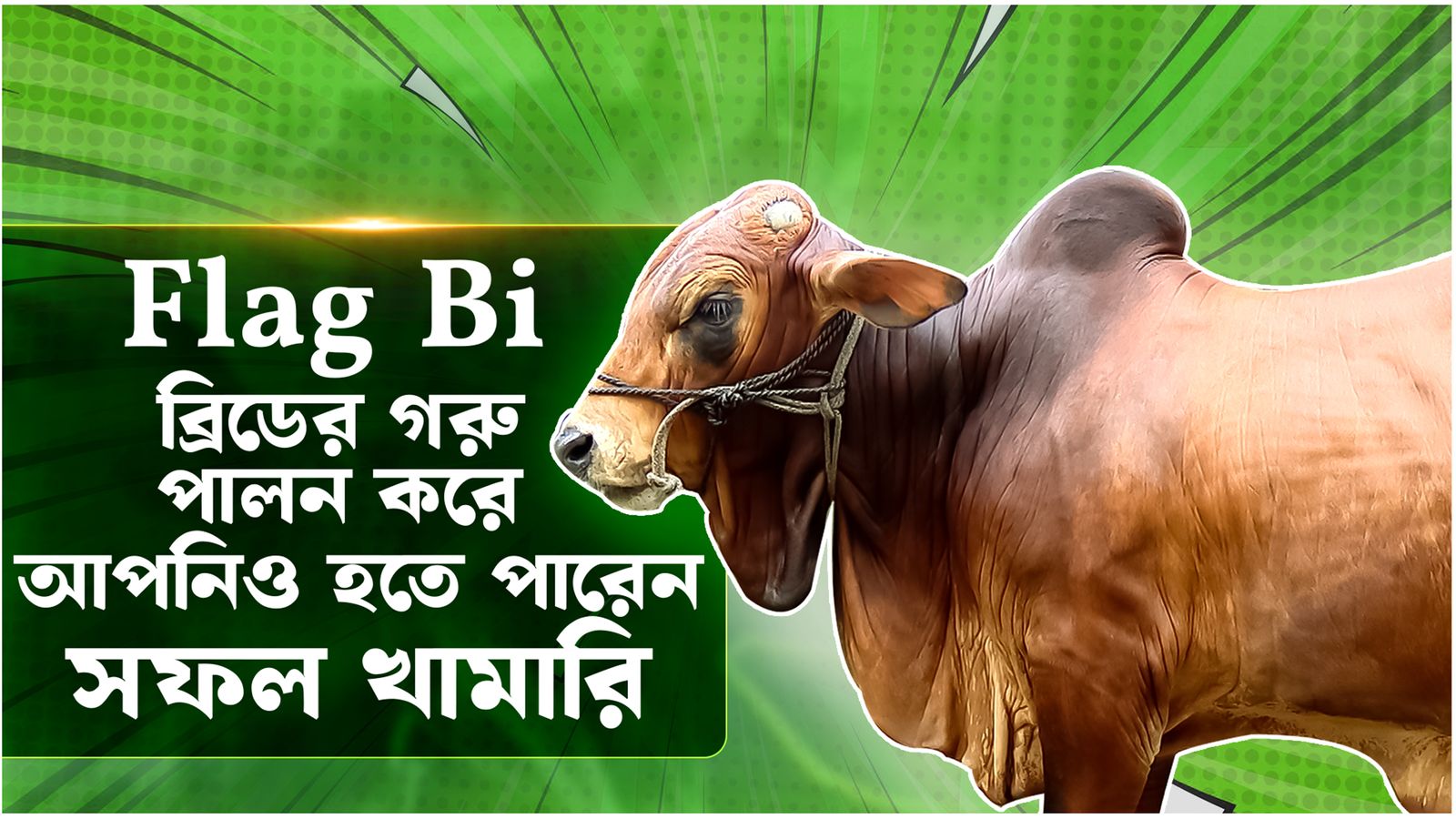 Deepto Krishi | Episode 1574