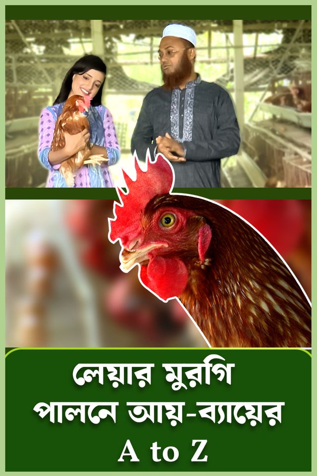 Deepto Krishi | Episode 1575