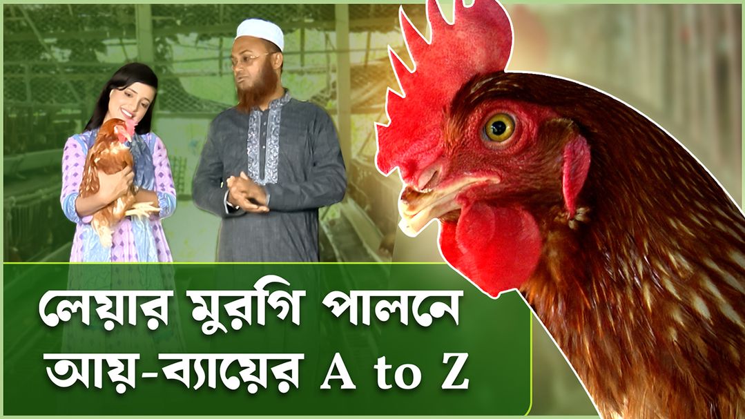 Deepto Krishi | Episode 1575