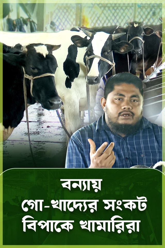Deepto Krishi | Episode 1578