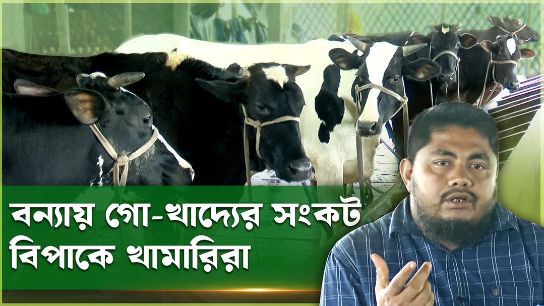 Deepto Krishi | Episode 1578