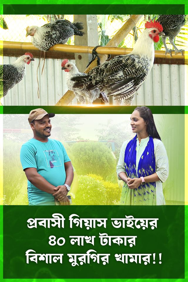 Deepto Krishi | Episode 1579