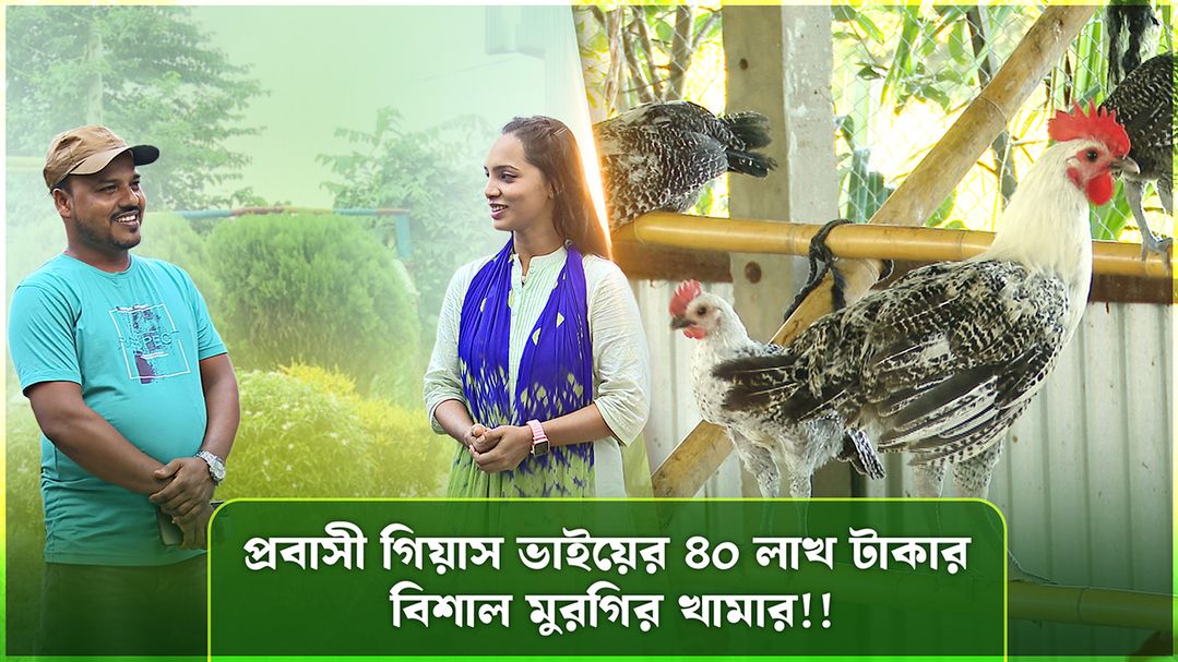 Deepto Krishi | Episode 1579