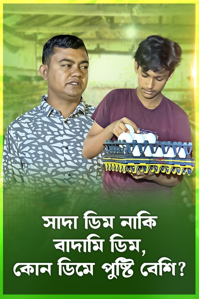 Deepto Krishi | Episode 1580