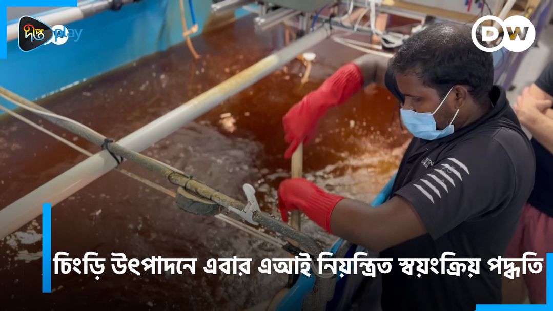 Chingri Utpadon Ebar AI Niyontrito Shoyonkriyo Poddhoti | DW Documentary