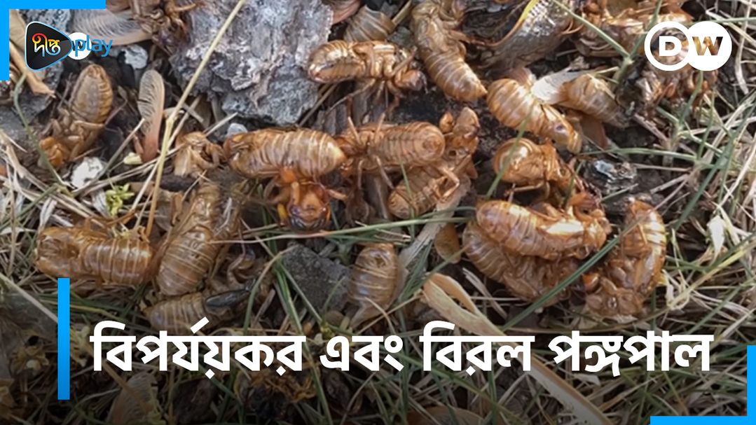 Biporjoykor and Birol Pongopal | DW Documentary