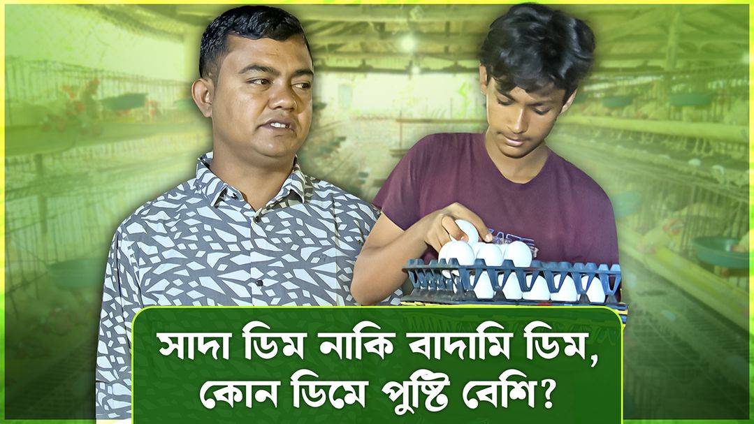 Deepto Krishi | Episode 1580