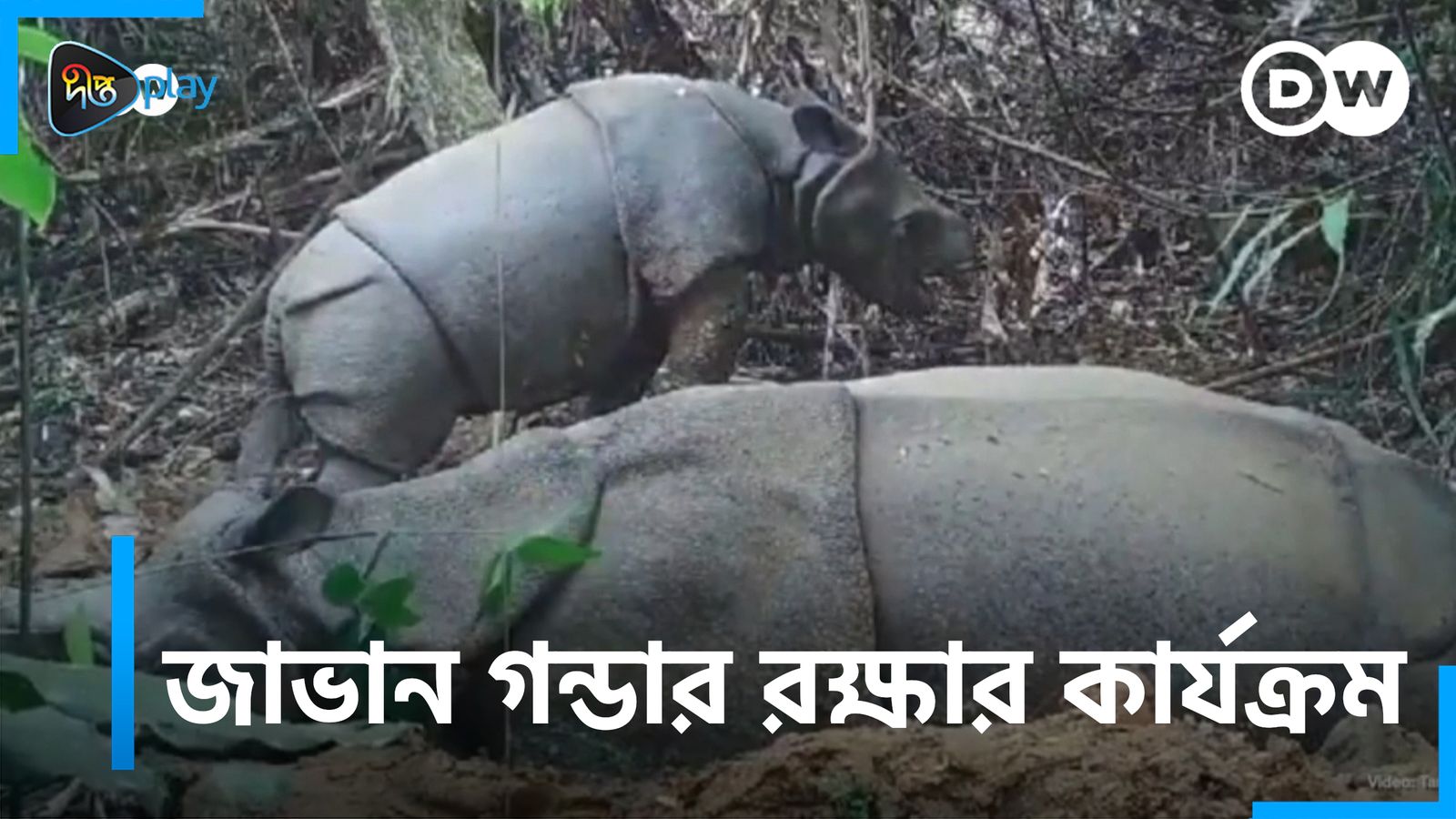 Javan Gondar Rokkhar Karjokrom | DW Documentary