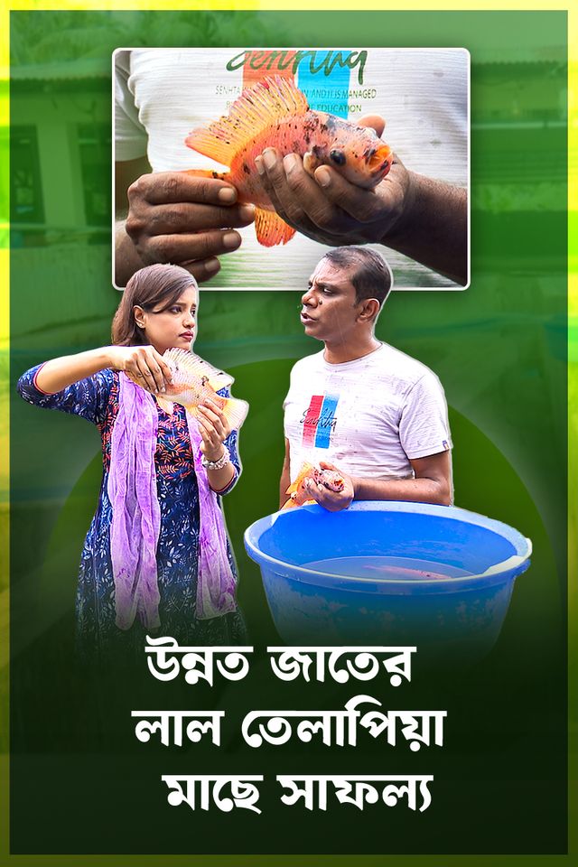 Deepto Krishi | Episode 1584