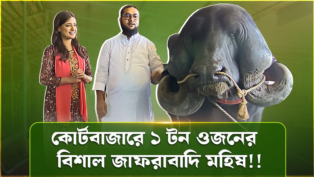 Deepto Krishi | Episode 1587