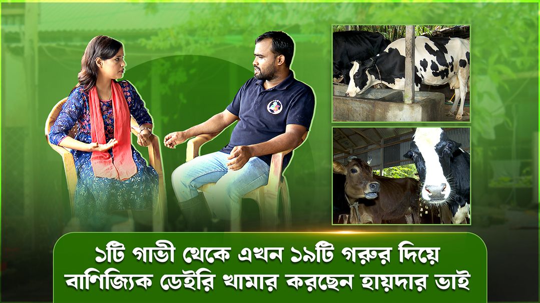 Deepto Krishi | Episode 1588