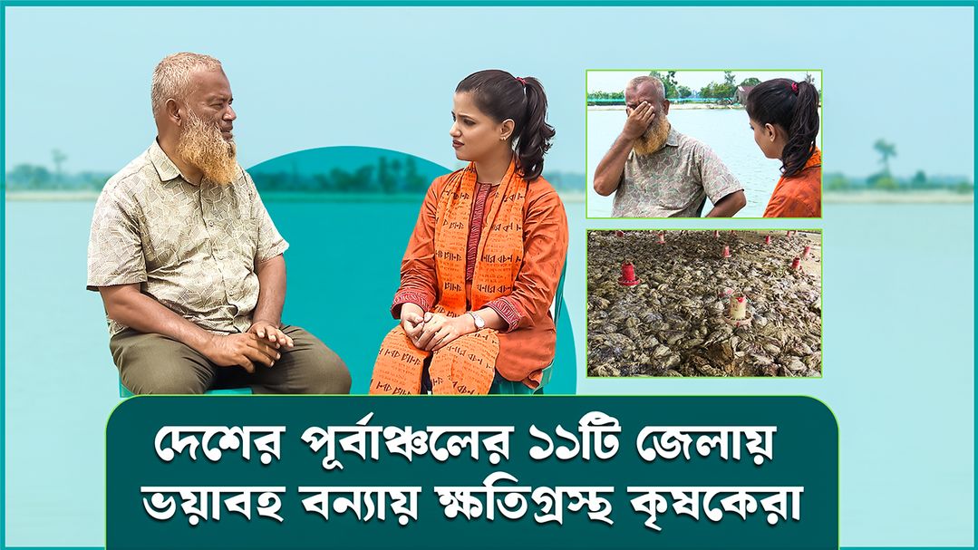 Deepto Krishi | Episode 1590