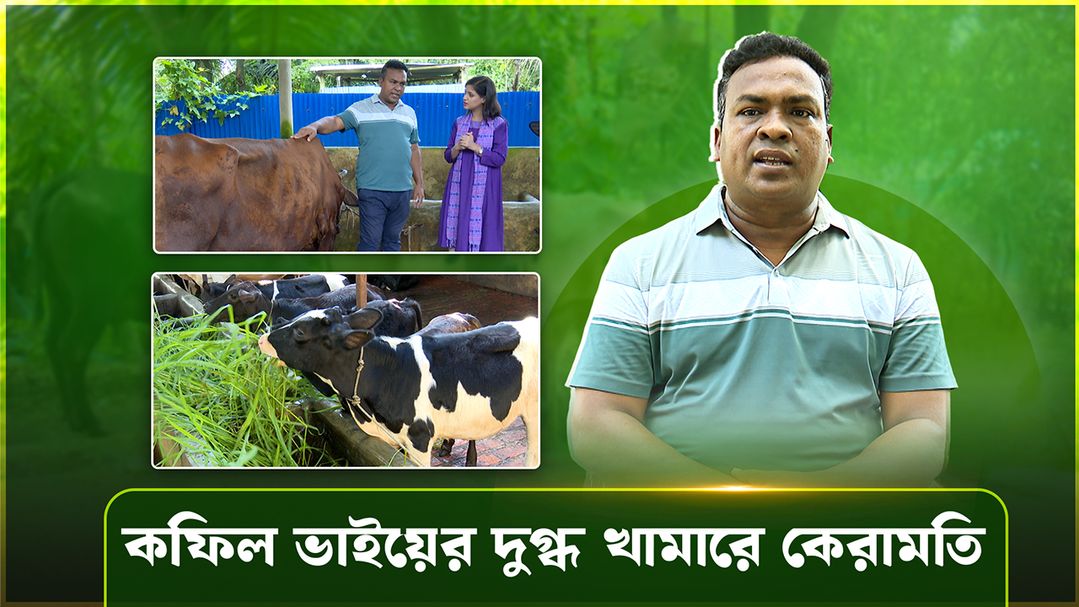 Deepto Krishi | Episode 1596