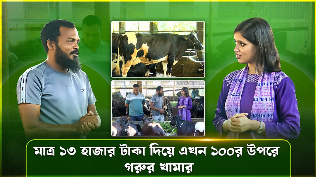 Deepto Krishi | Episode 1597