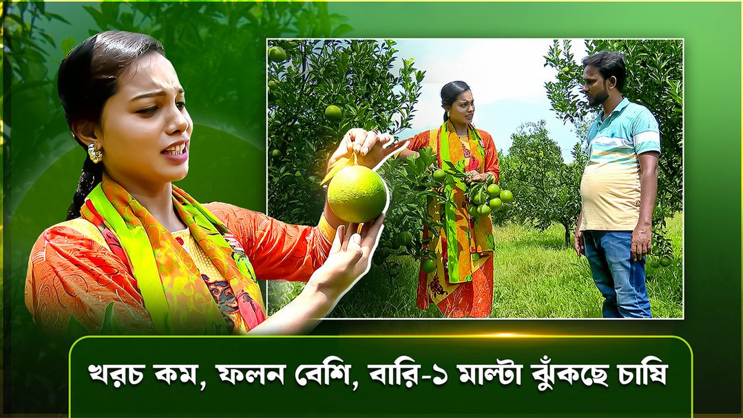 Deepto Krishi | Episode 1598