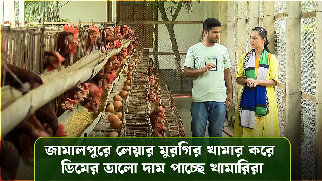 Deepto Krishi | Episode 1599