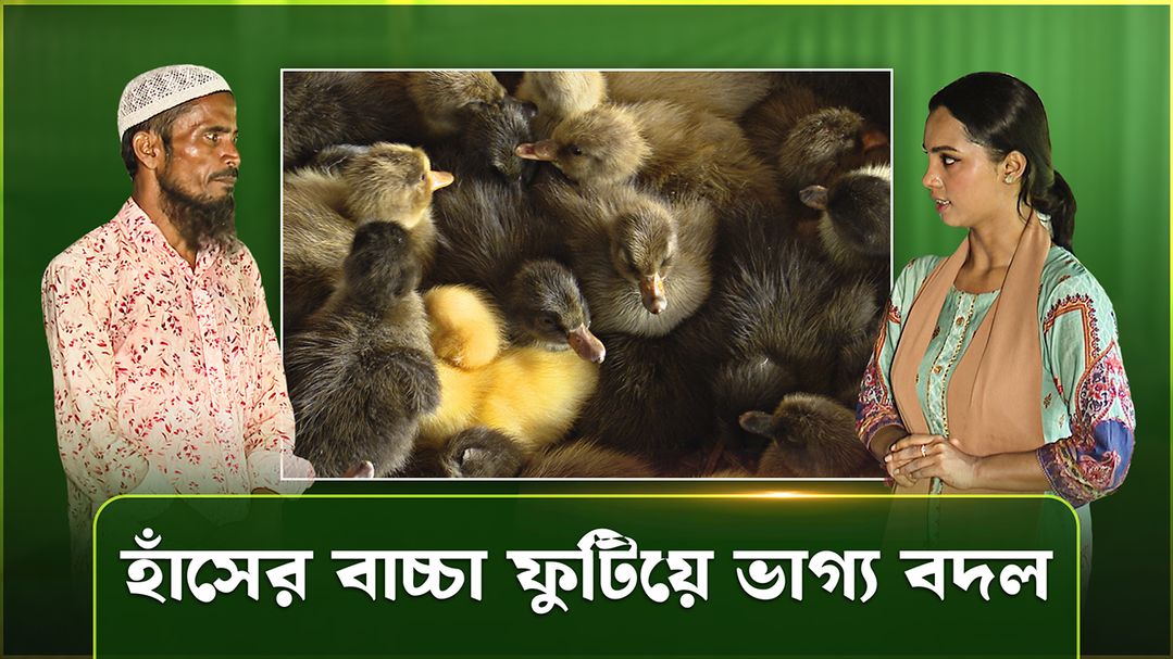 Deepto Krishi | Episode 1600