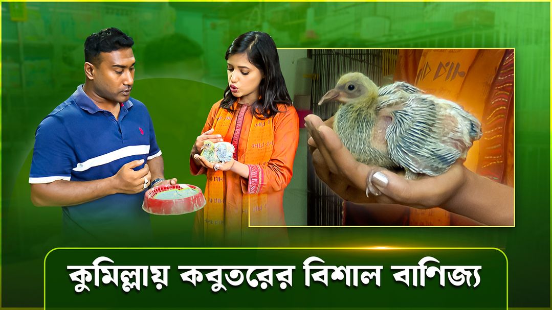Deepto Krishi | Episode 1601